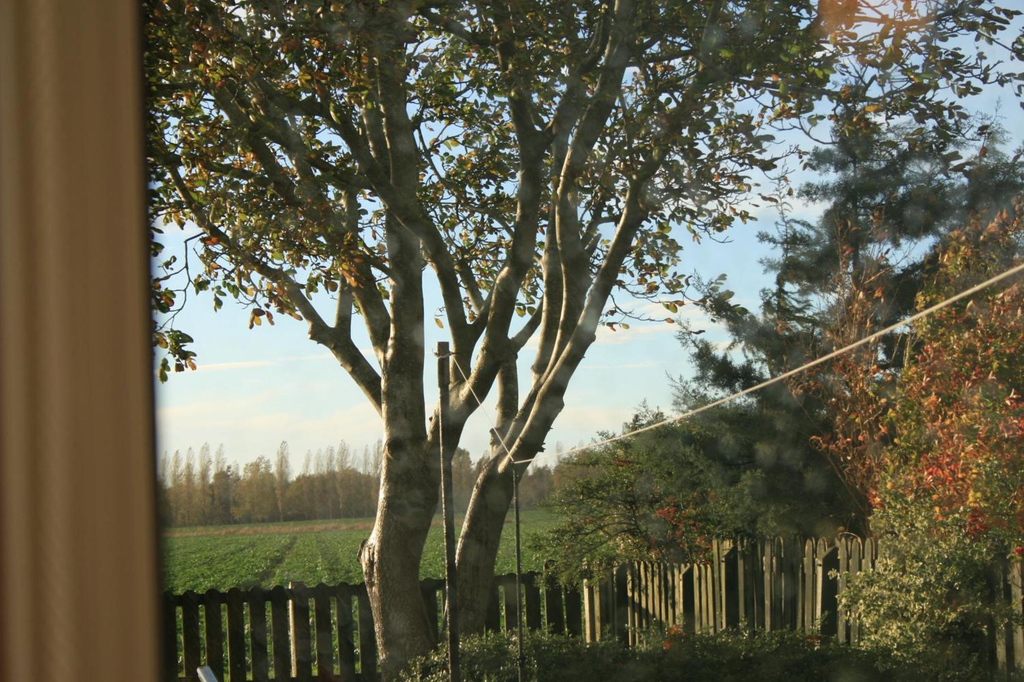 Дом отдыха Simla Bungalow, *