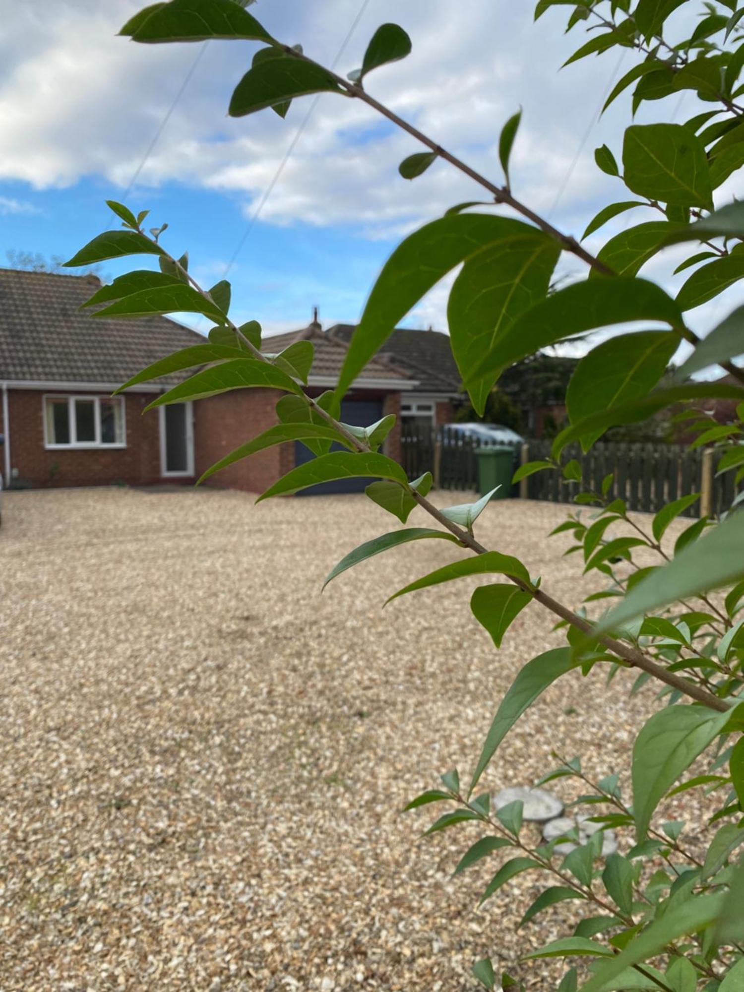 Simla Bungalow, Tetney